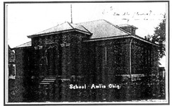 amlin school