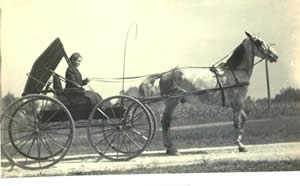 Horse and Buggy